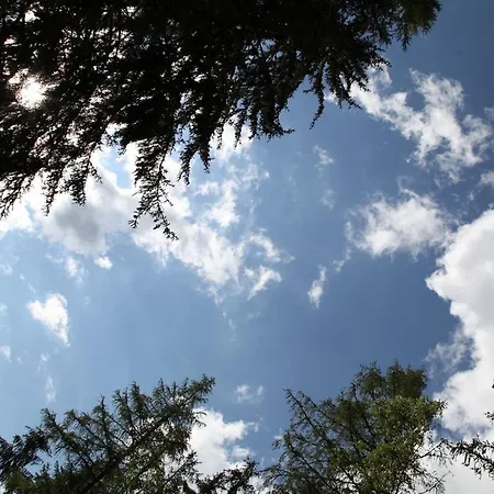 Plan De L'aiguille - Garden Chx Center