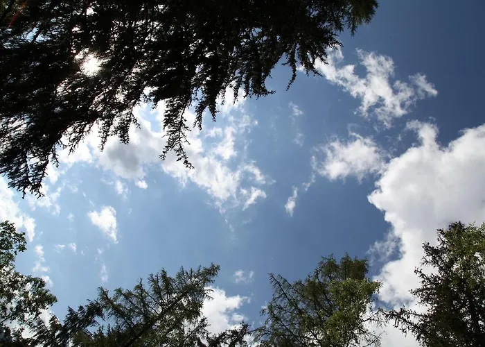 Plan De L'aiguille - Garden Chx Center