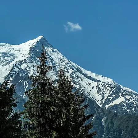 Plan De L'aiguille - Garden Chx Center
