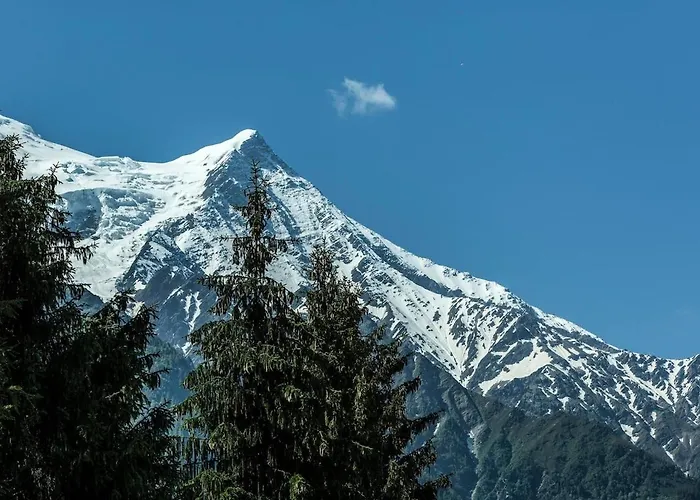 Plan De L'aiguille - Garden Chx Center